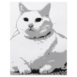 Big Fat Cat flyers