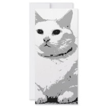 Big Fat Cat Full Color Rack Card