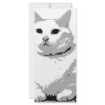 Big Fat Cat Full Color Rack Card