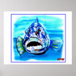 Big Fish in a Big Pond Poster