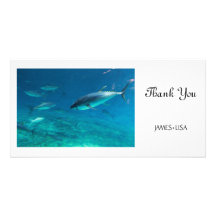 Big Fish Personalized Photo Card