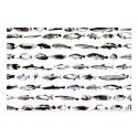 big fishes little fishes posters by mrpsiquedelico big fishes little fishes posters