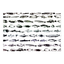 grandes peces poco peces posters by mrpsiquedelico grandes peces poco peces posters
