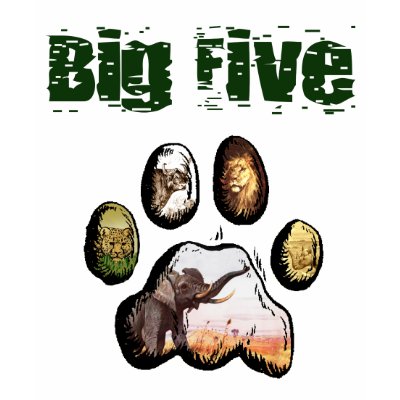 Big five game safari Lion Elephant Rhino Tee Shirts by Funkart