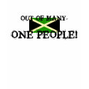 big flag, OUT OF MANY-, ONE PEOPLE! t-shirts by sweetndandy big flag, OUT OF MANY-, ONE PEOPLE! t-shirts