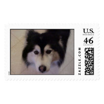 Big Fluffy postage