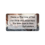 Big Foot Little Foot at the Beach Florida gulf Custom Address Label