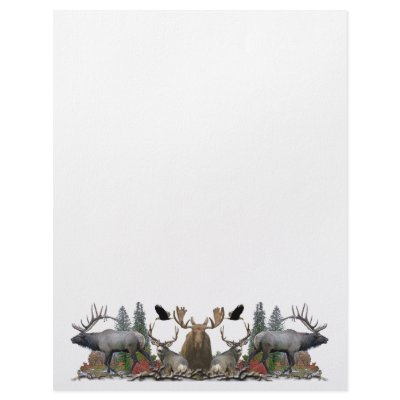 Big Game Letterhead by saltypro
