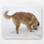 Big Golden Retriever Puppy Snow - Ranch Dog Lover Mousepad