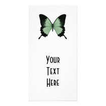 Big Green & Black Butterfly Photo Card