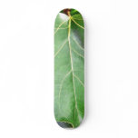 Big Green Leaf Skate Board Decks