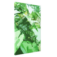 big green leafy plant gallery wrap canvas