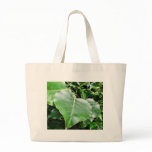 Big Green Leaves In Forrest bags