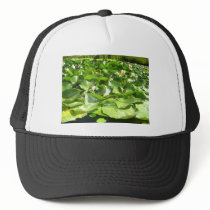 big green lilypads on a pond hats by pinkypetals big green lilypads on a pond hats