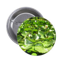 big green lilypads on a pond buttons