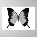 Big Grey & Black Butterfly Print