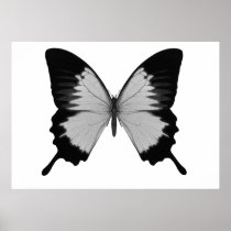 Big Grey & Black Butterfly Print