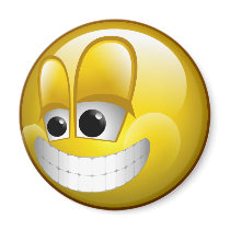 BIG GRIN SMILEY FACE magnets by dgpaulart BIG GRIN SMILEY FACE magnets