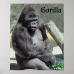 Big Gunns Gorilla Poster