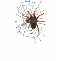 big hairy spider t-shirts by spootakular big hairy spider t-shirts