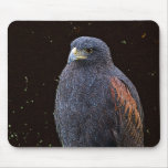 Big Hawk Mousepad