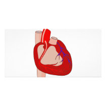 Big Hearted Photo Greeting Card