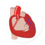 Big Hearted Stickers