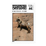 Big Horn Ram Postage Stamps