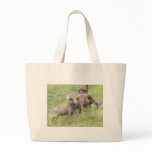 Big Horn Sheep Feeding Tote Bags
