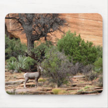 Big Horn Sheep in Bryce Canyon Mouse Mats