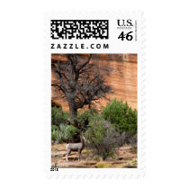 Big Horn Sheep in Bryce Canyon postage by natalielugo Big Horn Sheep in Bryce Canyon postage