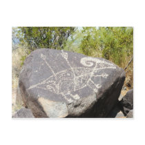 Big horn sheep petroglyph postcards