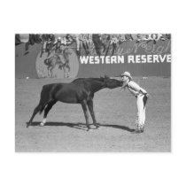 Big Horse Kiss, 1940 Post Card