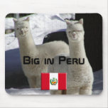 Big in Peru