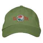 Big Inland 2010 ILYA basic hat - embroidered Embroidered Hat