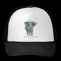 Big Is Beautiful Elephant hats