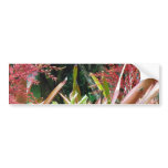 Big Island of Hawaii Botanical Gardens Bumper Stickers