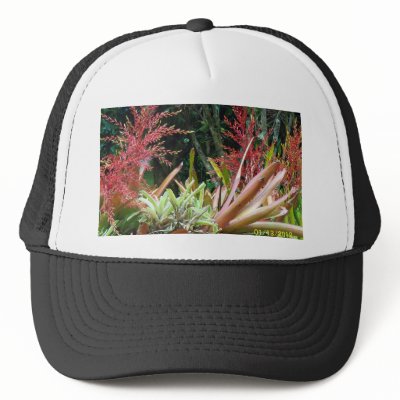 Big Island of Hawaii Botanical Gardens Hat by Zerobelow