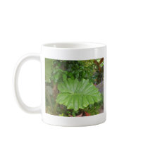 Big Leaf mugs