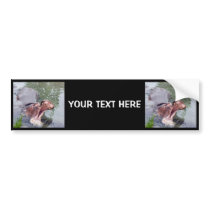 Big Mouth Hippo Bumper Sticker