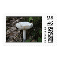 big mushroom postage by mark59956 big mushroom postage