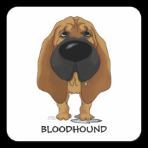 Big Nose Bloodhound stickers