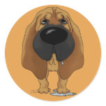 Big Nose Bloodhound Stickers