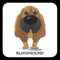 Bloodhound Nose