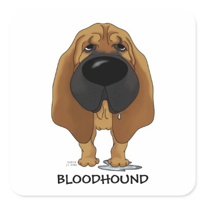 Big Nose Bloodhound Square Sticker by NothinButtDogs