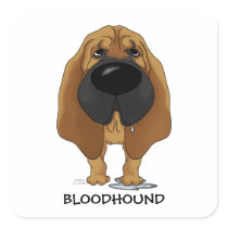 Big Nose Bloodhound Square Sticker