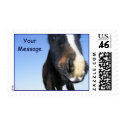 Big Nose, Customisable USPS stamp