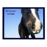 Big Nose Postcards