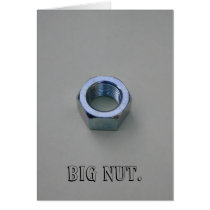 Big Nut cards
