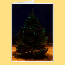 Big Old Tree cards